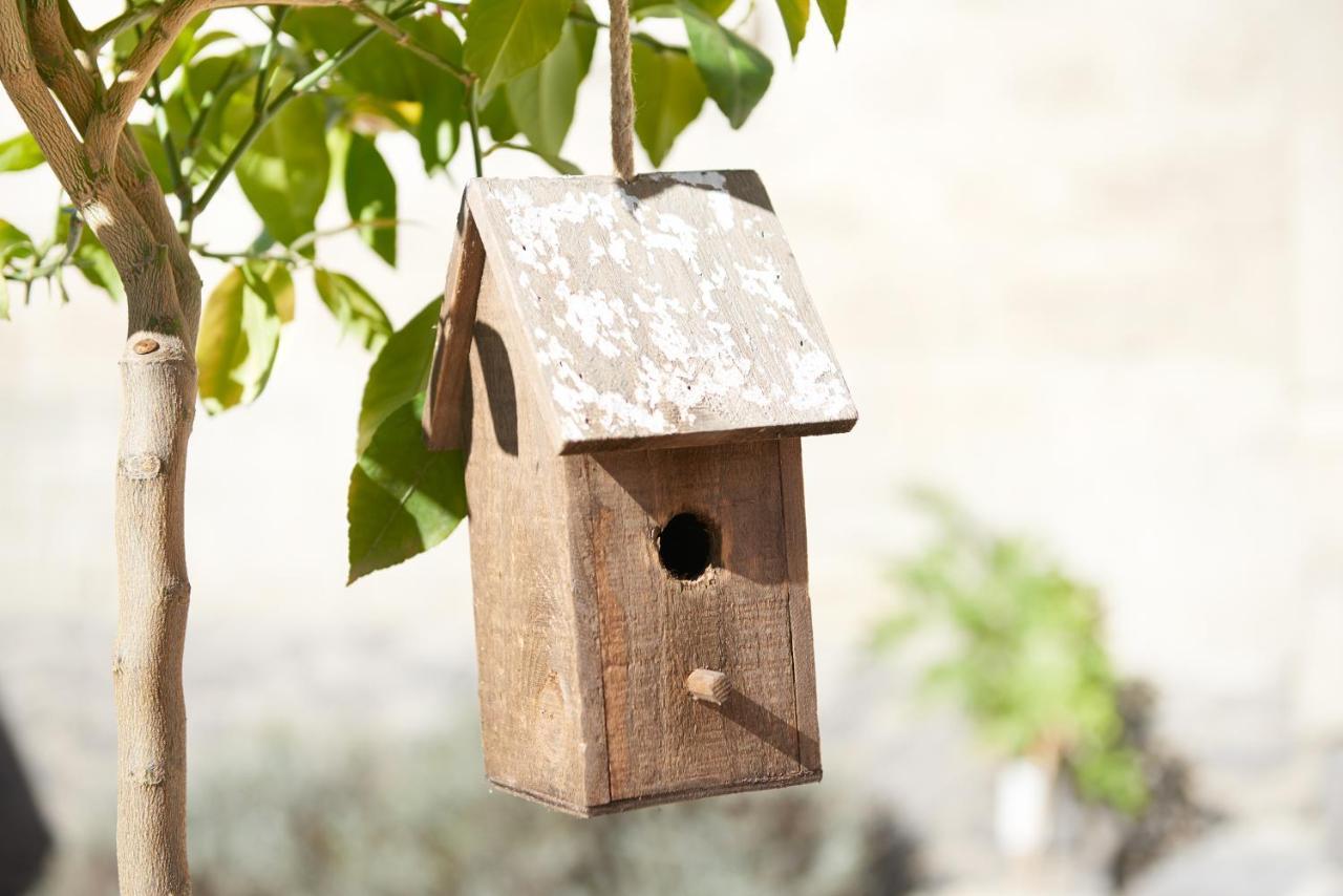 Ferienhaus Lemon Tree Rieden  エクステリア 写真